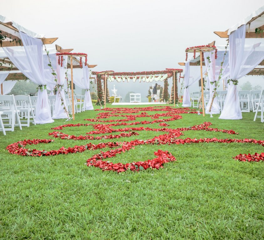 Wedding Gallery