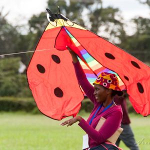 Urban_Live_Events_Kenya_Kite_Festival_kite_3