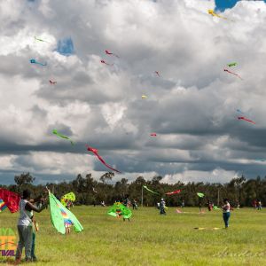 kite-flying_urban_live_events_Kenya_Kite_Festival